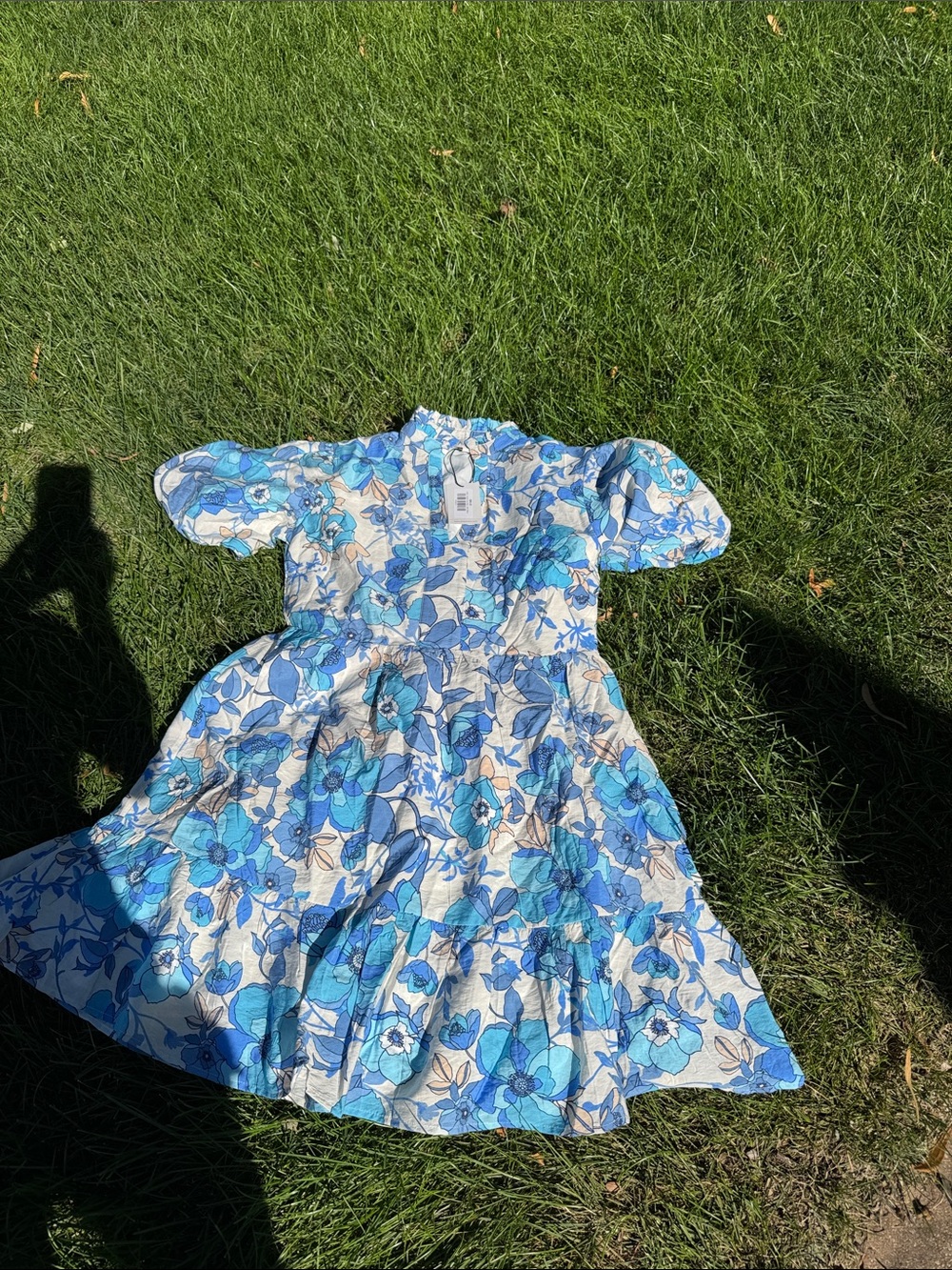 NWT AVARA Cassie Blue Floral mini dress sz small